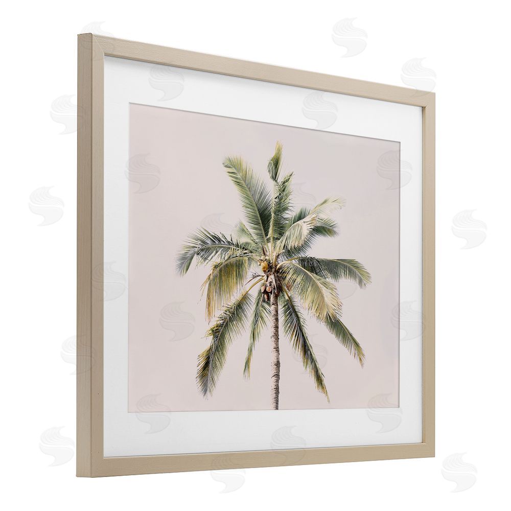 Sisi and Seb Palm Tree Underside on Pink Birch Framed Print Under Glass Art