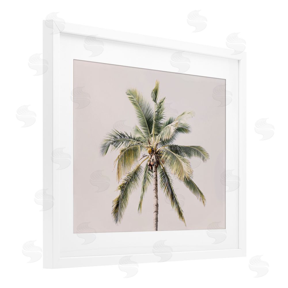 Sisi and Seb Palm Tree Underside on Pink White Framed Print Under Glass Art