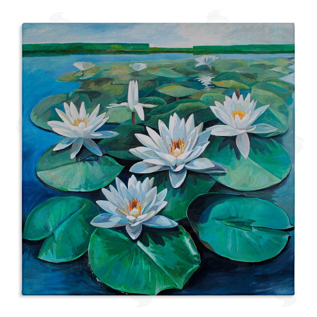 Violeta Vollmer White Pond Lilies Group Canvas Wall Art Print