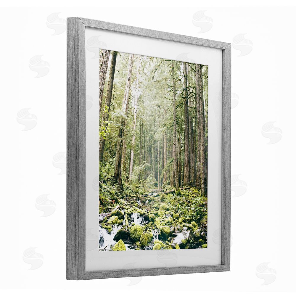 Leah Straatsma Verdant Forest Glow Wilderness Gray Framed Print Under Glass Art