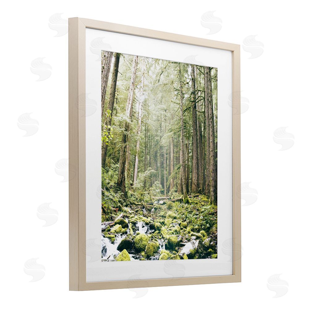 Leah Straatsma Verdant Forest Glow Wilderness Birch Framed Print Under Glass Art