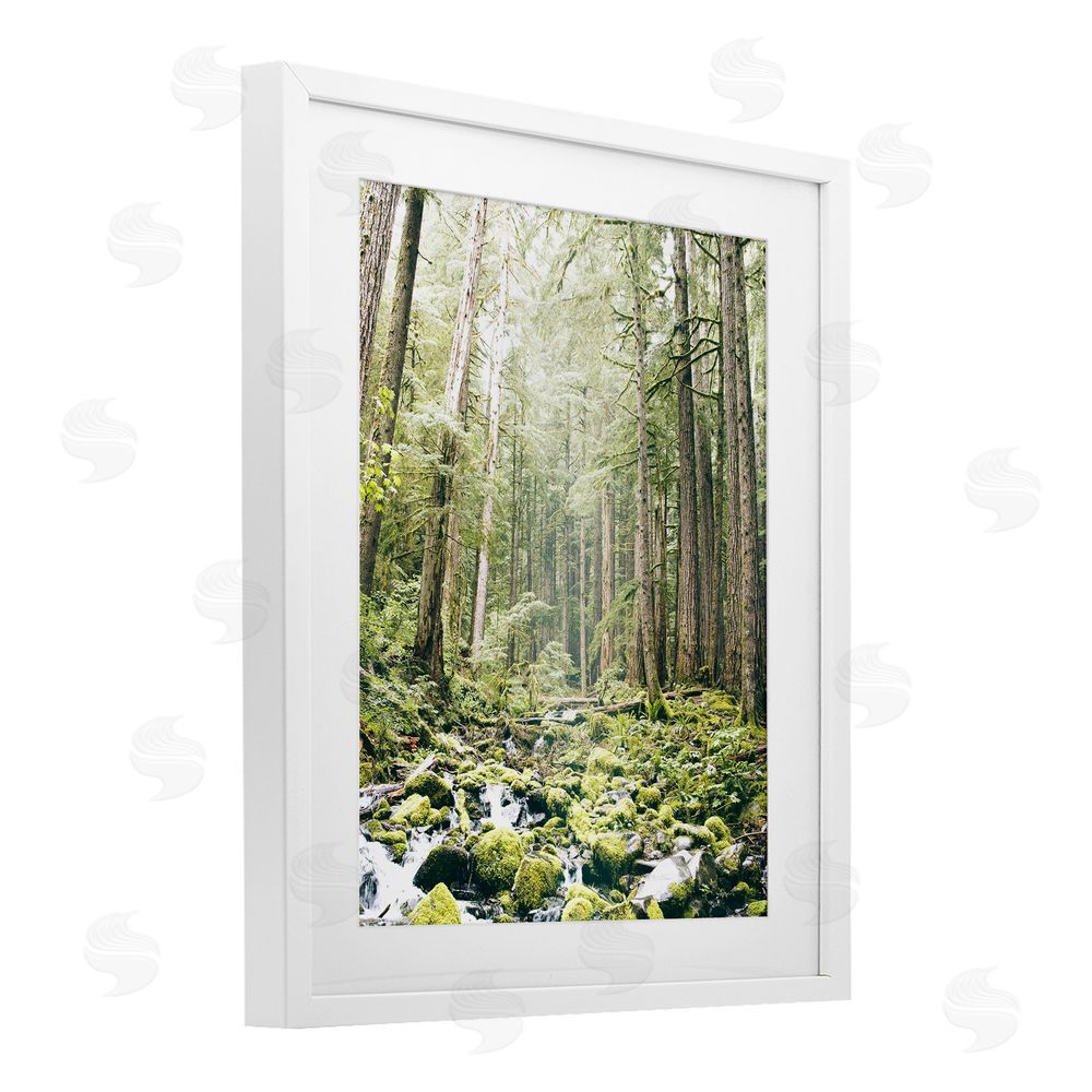 Leah Straatsma Verdant Forest Glow Wilderness White Framed Print Under Glass Art
