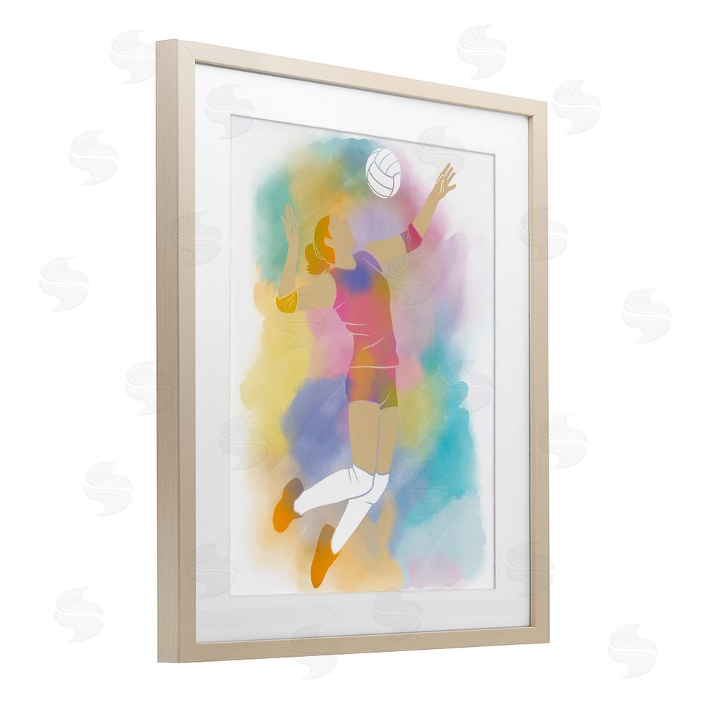 Marcus Prime Colorful Sports Volleyball Birch Framed Print Under Glass Art