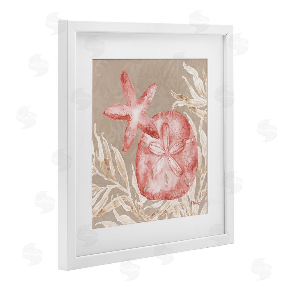 Paul Brent Tampico Starfish and Sand Dollar White Framed Print Under Glass Art