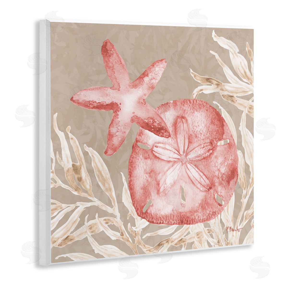 Paul Brent Tampico Starfish and Sand Dollar Wall Plaque Art Print
