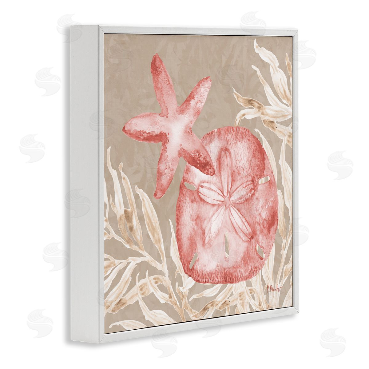 Paul Brent Tampico Starfish and Sand Dollar White Frame Giclee Art Print