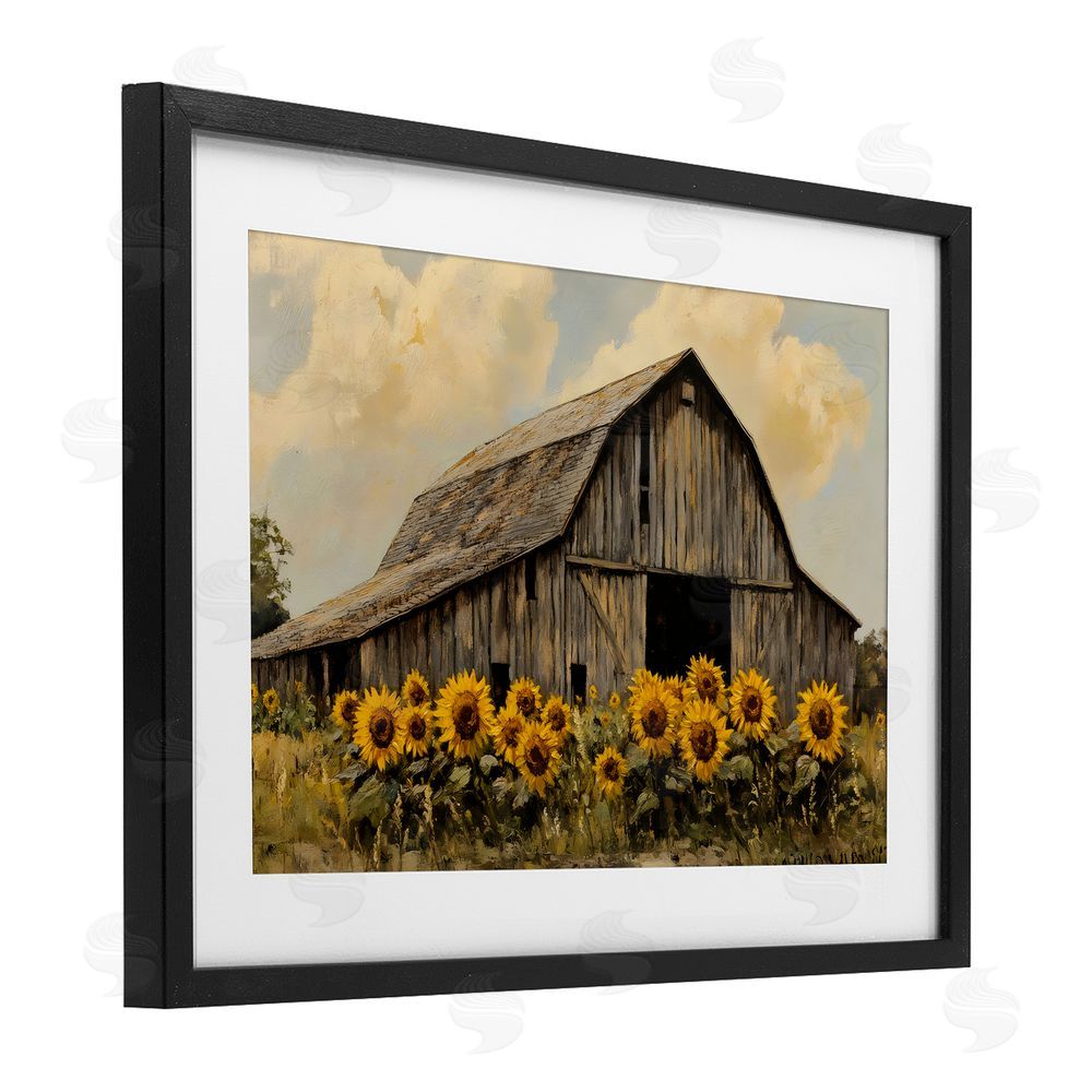 Franklyn Gregory Barn In Sunflower Field Black Framed Print Under Glass with White Mat Wall Art