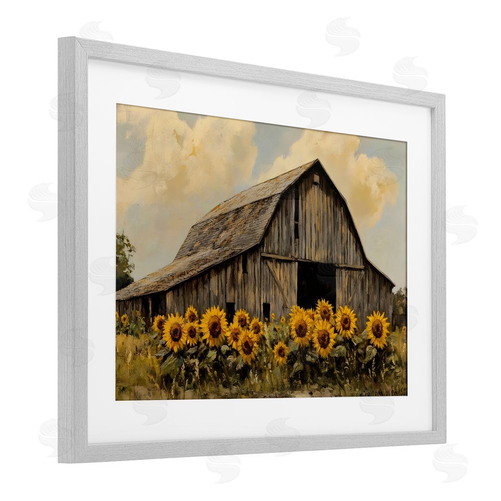 Franklyn Gregory Barn In Sunflower Field Gray Framed Print Under Glass with White Mat Wall Art