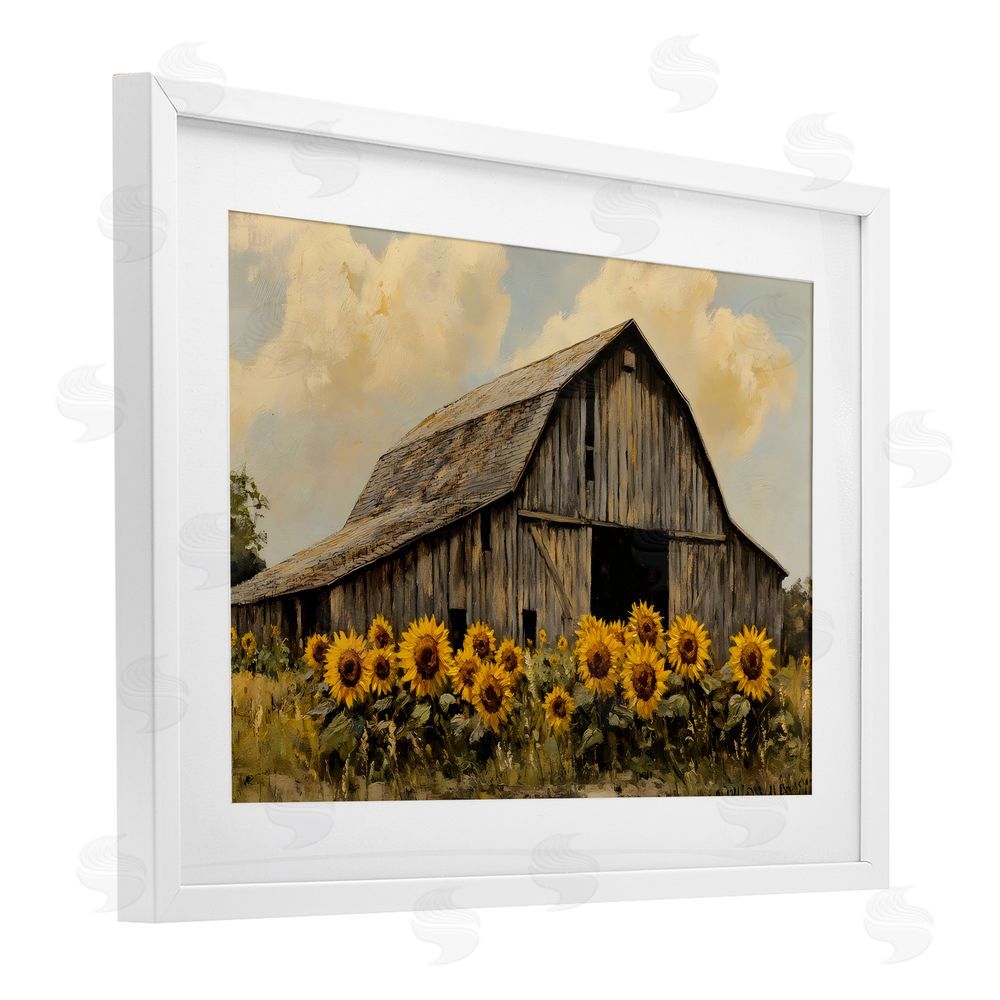 Franklyn Gregory Barn In Sunflower Field White Framed Print Under Glass with Mat Wall Art