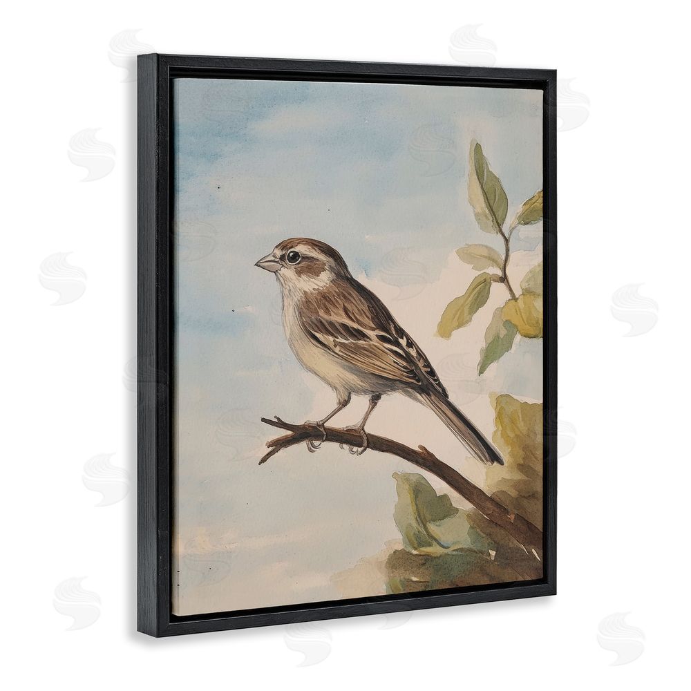 Petal Prints Design Brown Bird Perched on Branch Black Floating Frame Canvas Wall Art Print