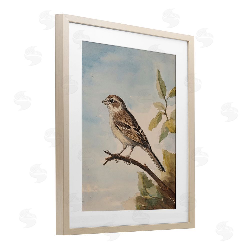 Petal Prints Design Brown Bird Perched on Branch Birch Framed Print Under Glass with White Mat Wall Art