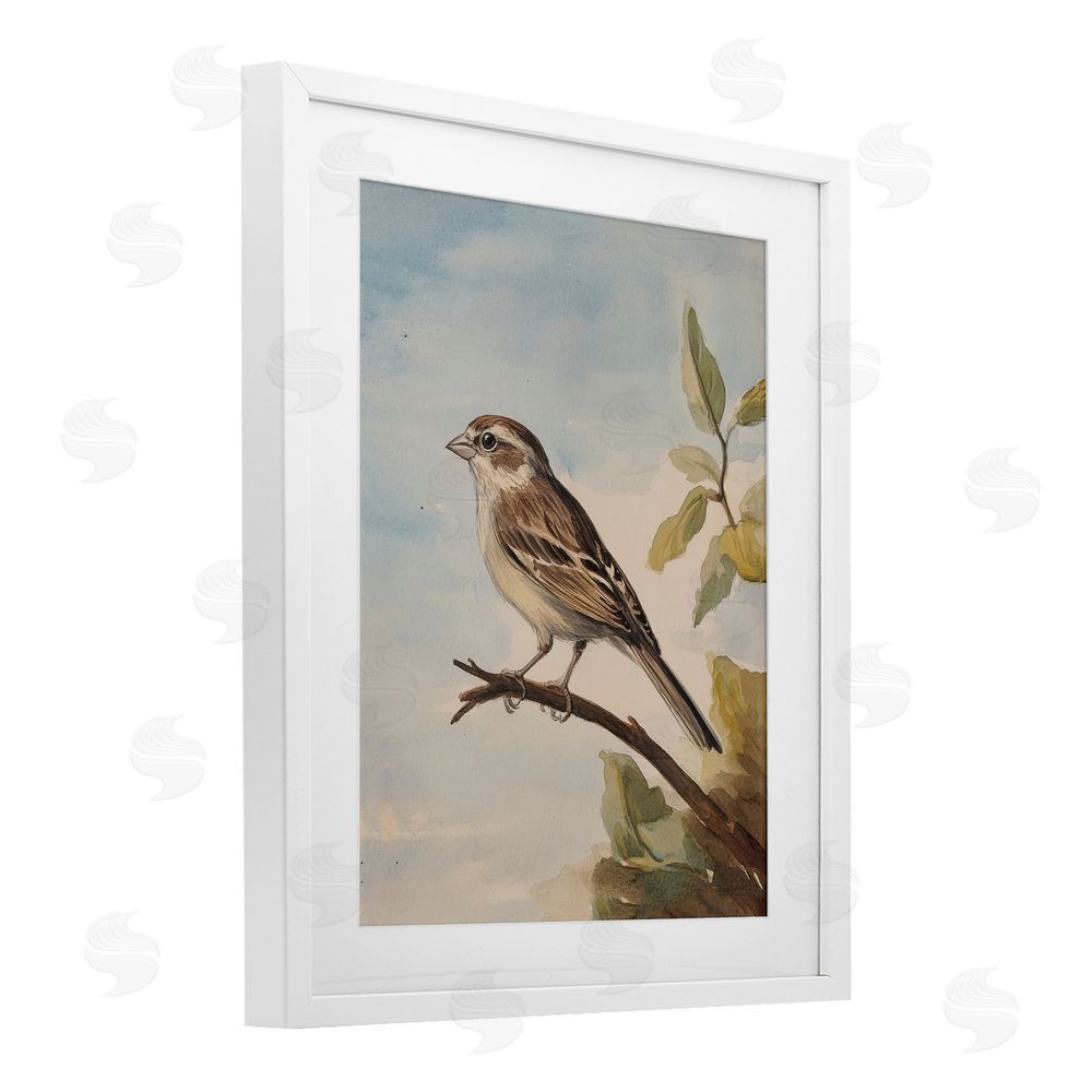 Petal Prints Design Brown Bird Perched on Branch White Framed Print Under Glass with Mat Wall Art