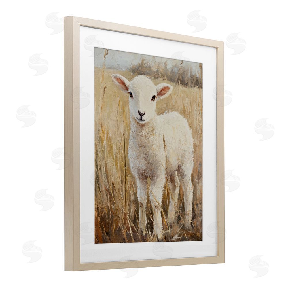 Petal Prints Design Curly Lamb in Grassy Field Birch Framed Print Under Glass with White Mat Wall Art