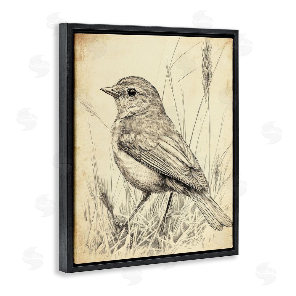 Petal Prints Design Vintage Small Sketched Bird Black Floating Frame Canvas Wall Art Print