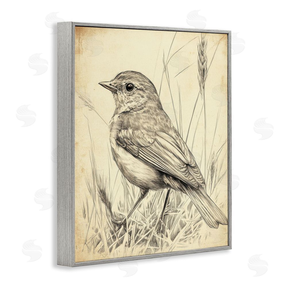 Petal Prints Design Vintage Small Sketched Bird Gray Framed Giclee Wall Art Print