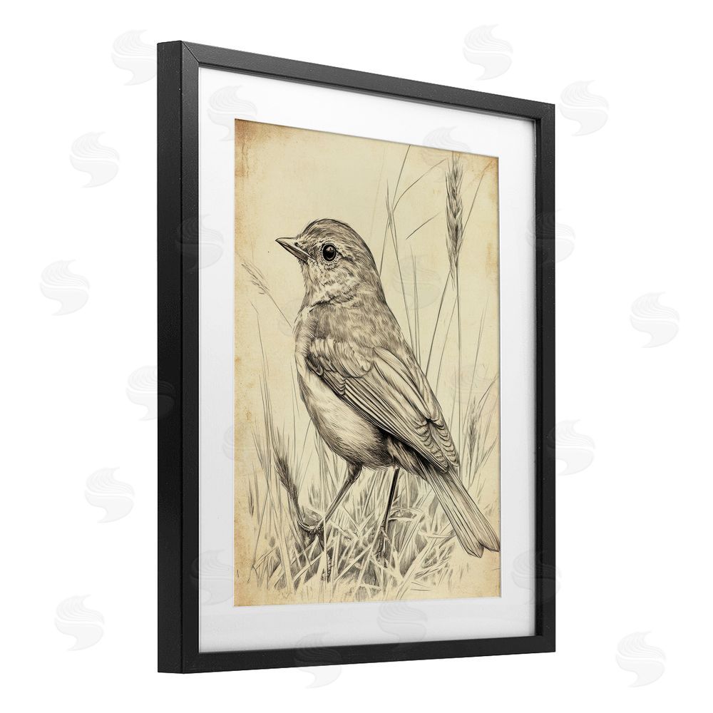 Petal Prints Design Vintage Small Sketched Bird Black Framed Print Under Glass with White Mat Wall Art