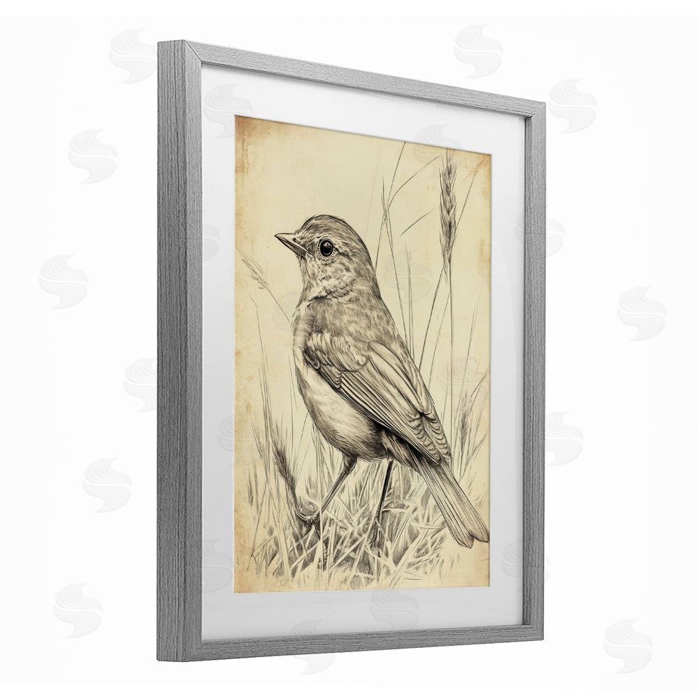Petal Prints Design Vintage Small Sketched Bird Gray Framed Print Under Glass with White Mat Wall Art