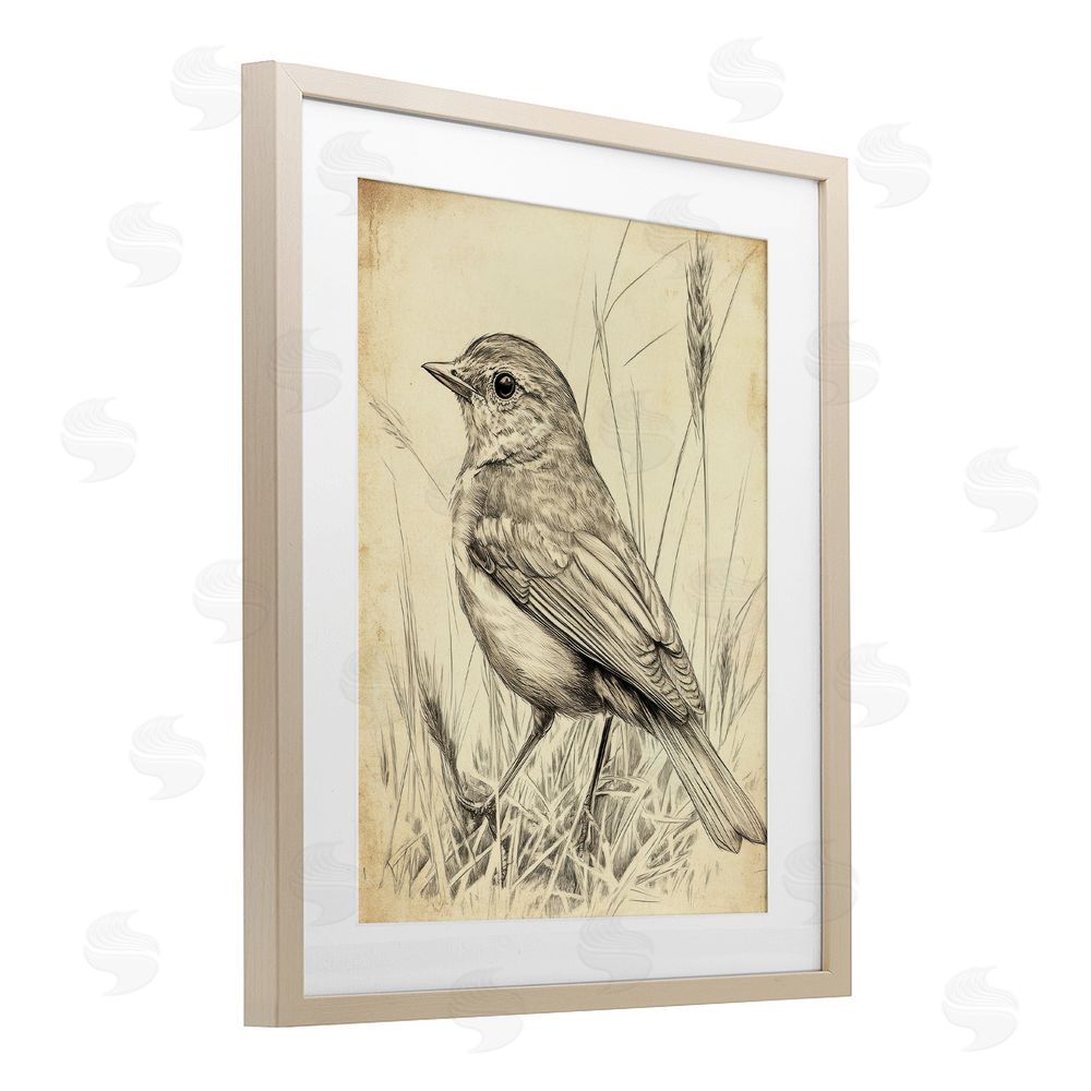 Petal Prints Design Vintage Small Sketched Bird Birch Framed Print Under Glass with White Mat Wall Art