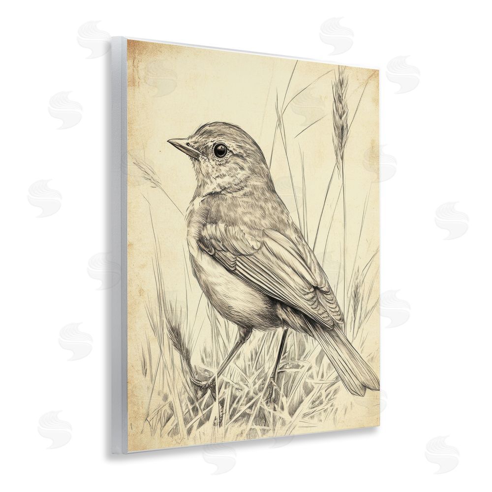 Petal Prints Design Vintage Small Sketched Bird Wall Plaque Art Print