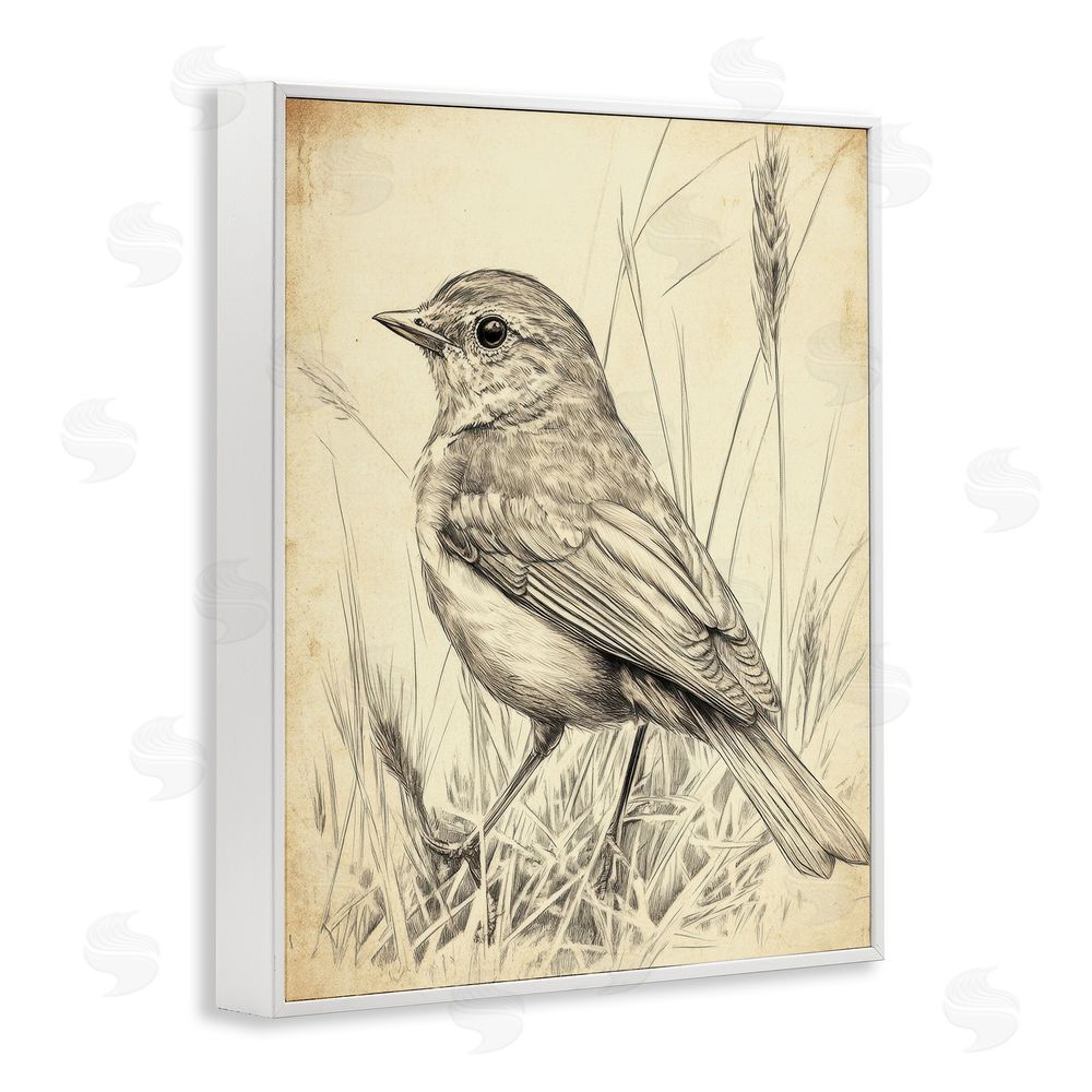 Petal Prints Design Vintage Small Sketched Bird White Framed Giclee Wall Art Print