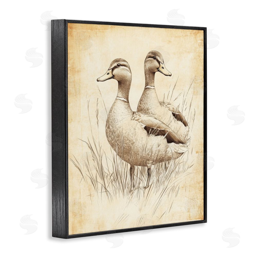 Petal Prints Design Vintage Pair of Ducks Black Framed Giclee Wall Art Print