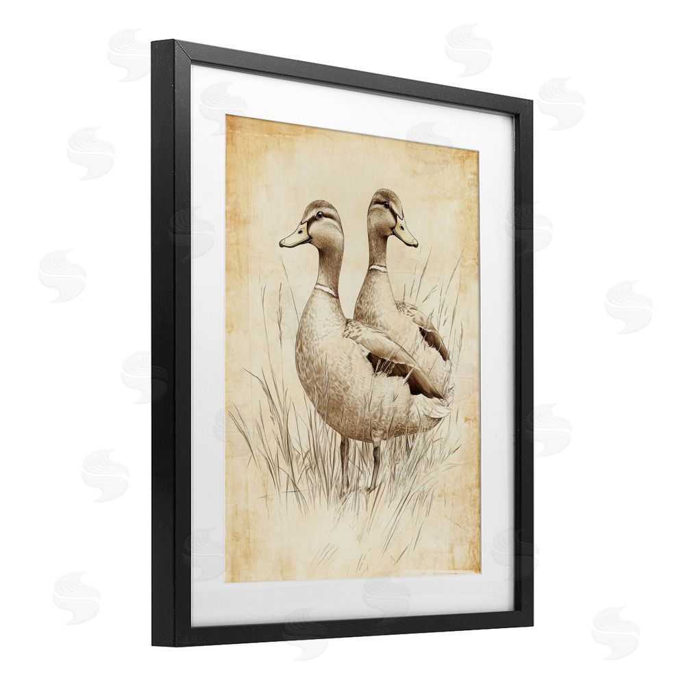 Petal Prints Design Vintage Pair of Ducks Black Framed Print Under Glass with White Mat Wall Art