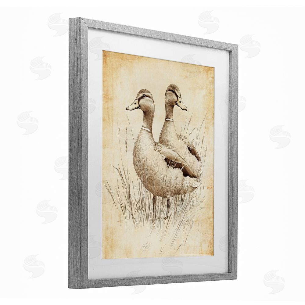 Petal Prints Design Vintage Pair of Ducks Gray Framed Print Under Glass with White Mat Wall Art