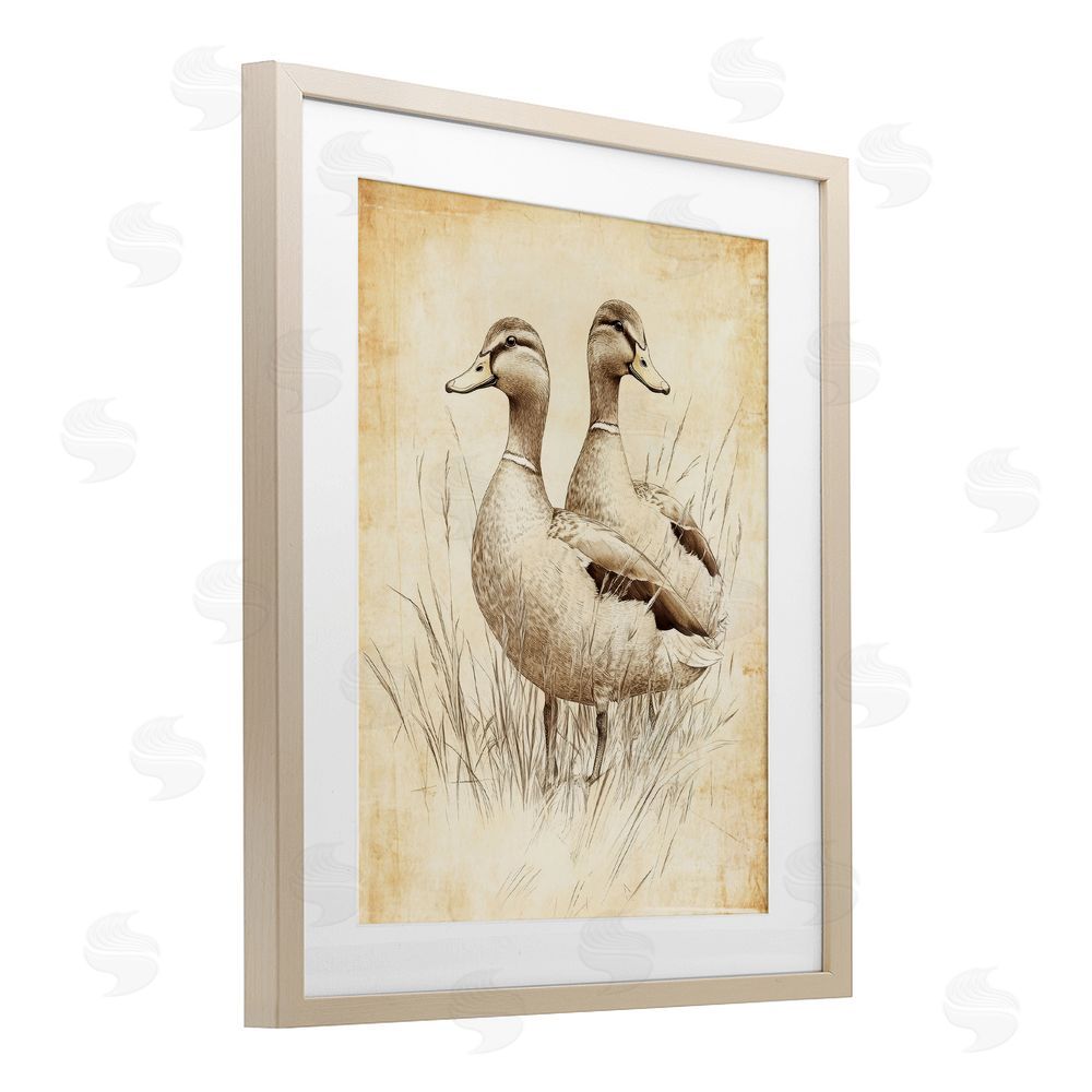 Petal Prints Design Vintage Pair of Ducks Birch Framed Print Under Glass with White Mat Wall Art