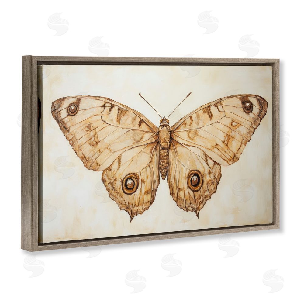 Petal Prints Design Sepia Moth Vintage Illustration Brown Floating Frame Canvas Wall Art Print