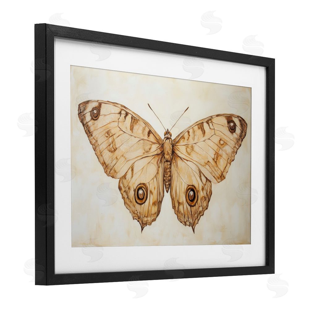 Petal Prints Design Sepia Moth Vintage Illustration Black Framed Print Under Glass with White Mat Wall Art