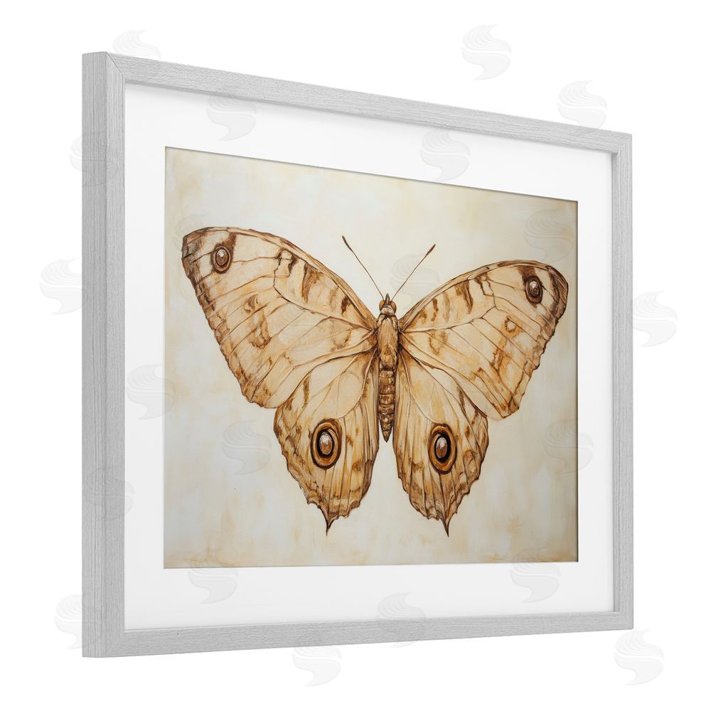 Petal Prints Design Sepia Moth Vintage Illustration Gray Framed Print Under Glass with White Mat Wall Art