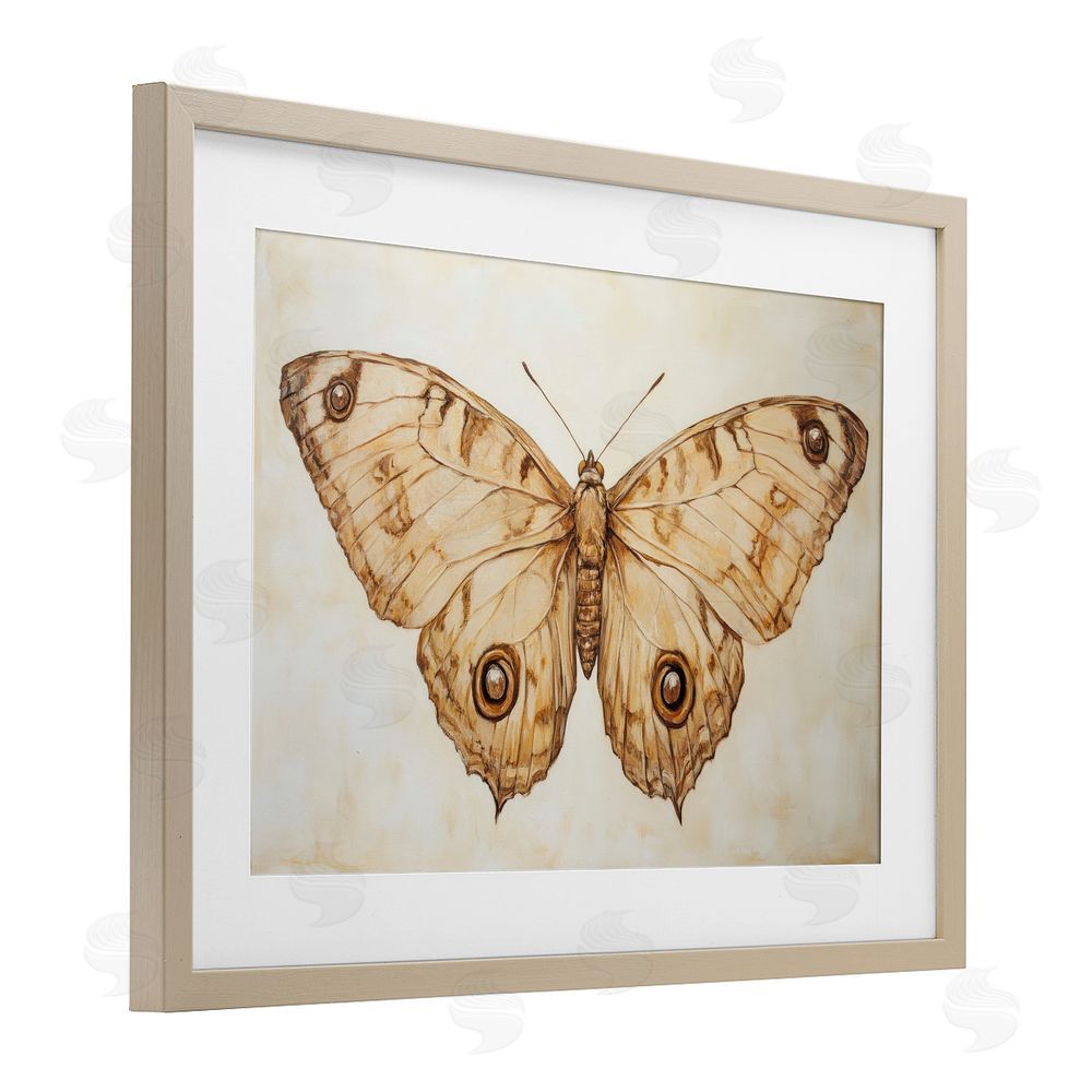 Petal Prints Design Sepia Moth Vintage Illustration Birch Framed Print Under Glass with White Mat Wall Art