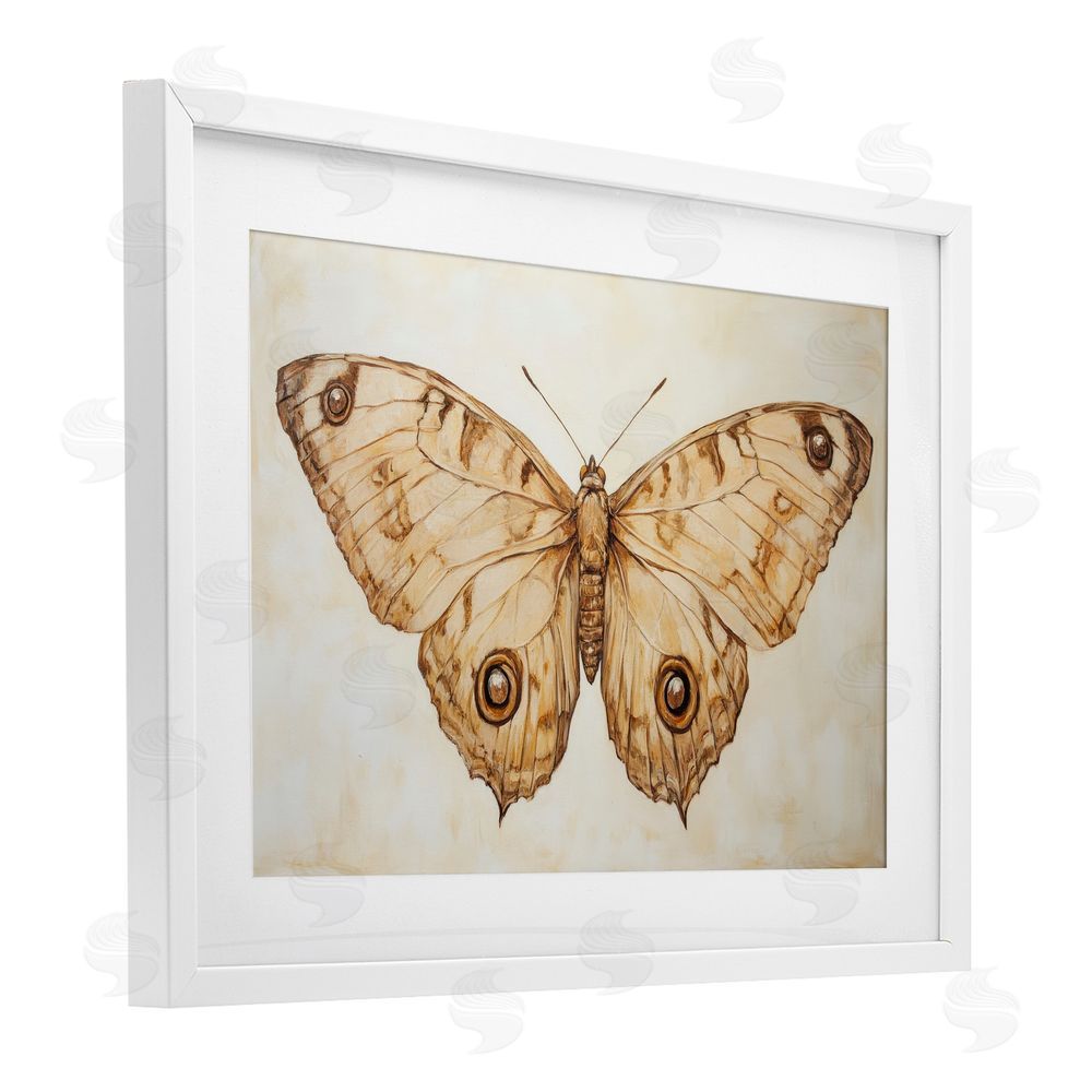 Petal Prints Design Sepia Moth Vintage Illustration White Framed Print Under Glass with Mat Wall Art