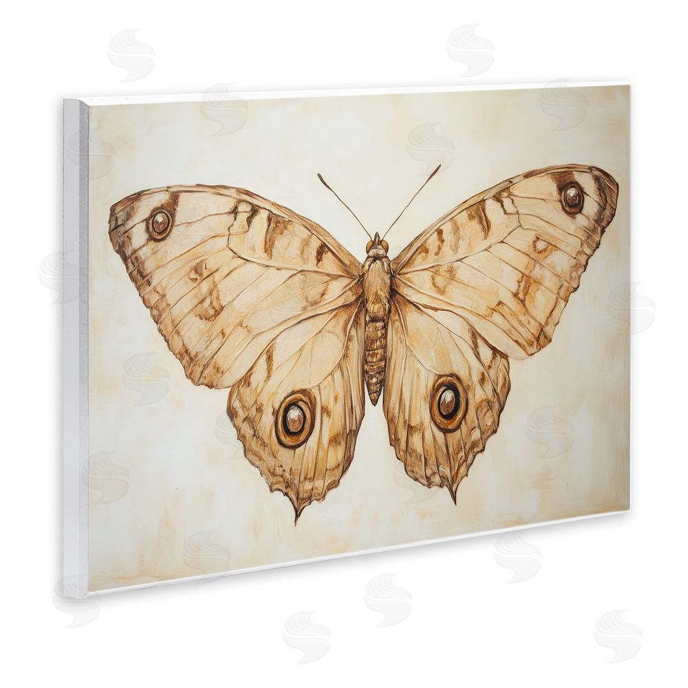 Petal Prints Design Sepia Moth Vintage Illustration Wall Plaque Art Print