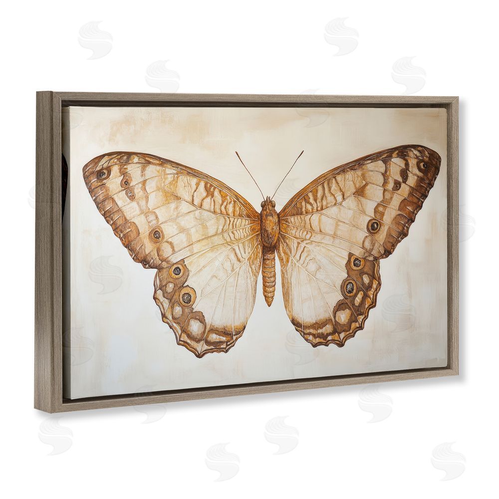 Petal Prints Design Vintage Sepia Moth Illustration Brown Floating Frame Canvas Wall Art Print