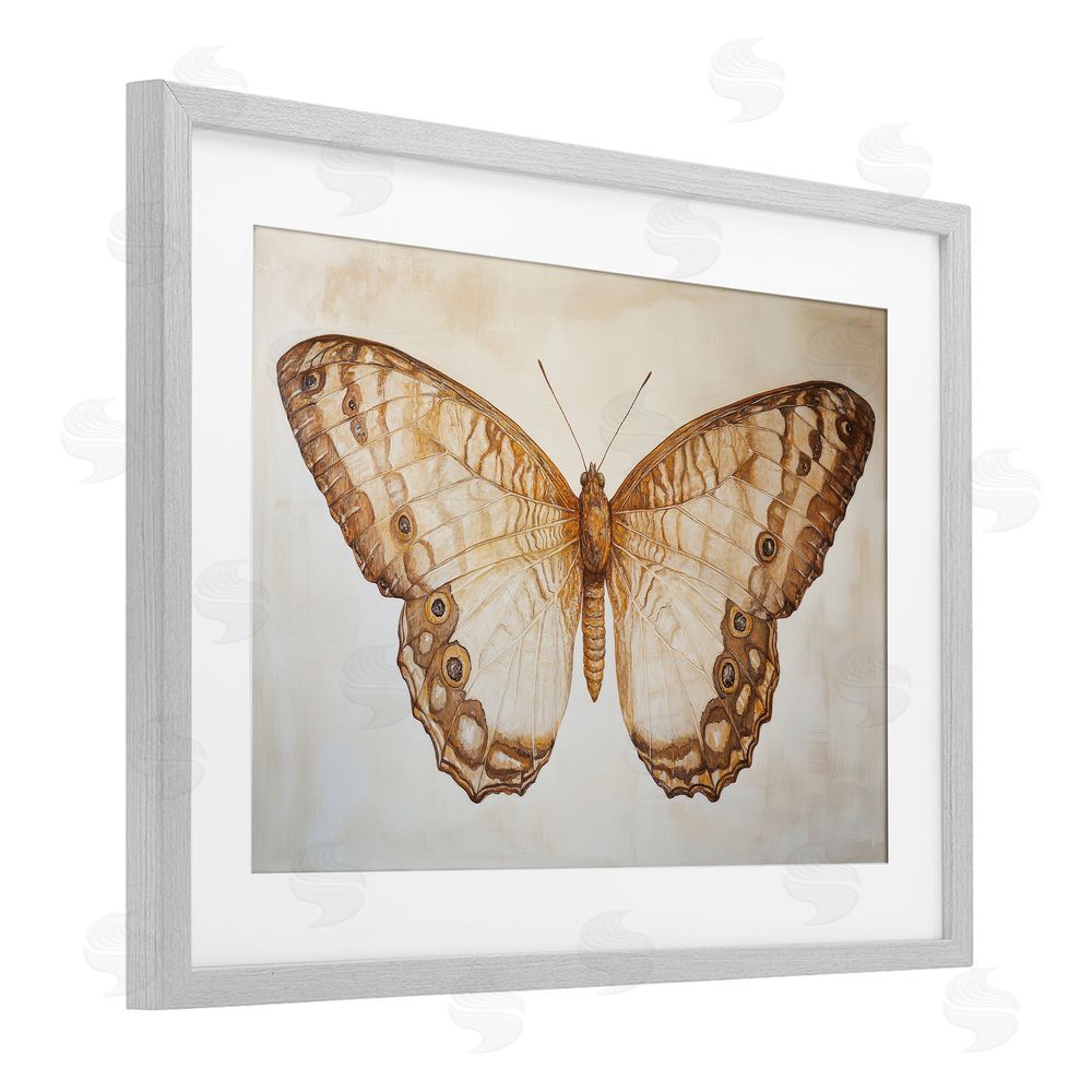Petal Prints Design Vintage Sepia Moth Illustration Gray Framed Print Under Glass with White Mat Wall Art