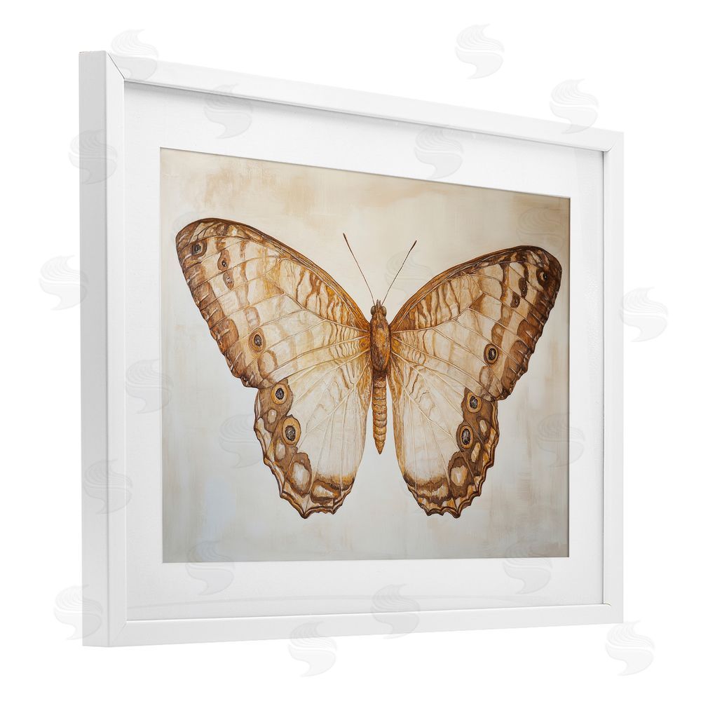 Petal Prints Design Vintage Sepia Moth Illustration White Framed Print Under Glass with Mat Wall Art