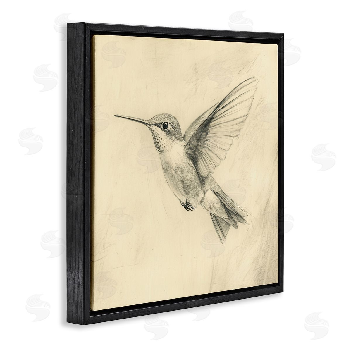 Petal Prints Design Vintage Hummingbird Sketch Black Floating Frame Canvas Wall Art Print