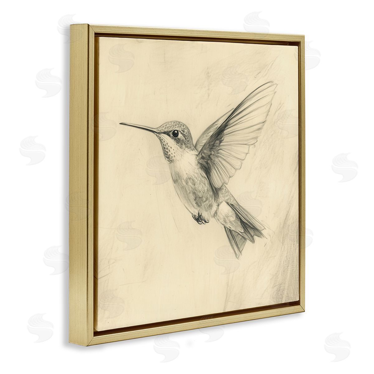 Petal Prints Design Vintage Hummingbird Sketch Gold Floating Frame Canvas Wall Art Print