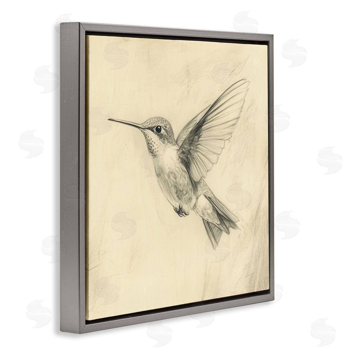 Petal Prints Design Vintage Hummingbird Sketch Gray Floating Frame Canvas Wall Art Print