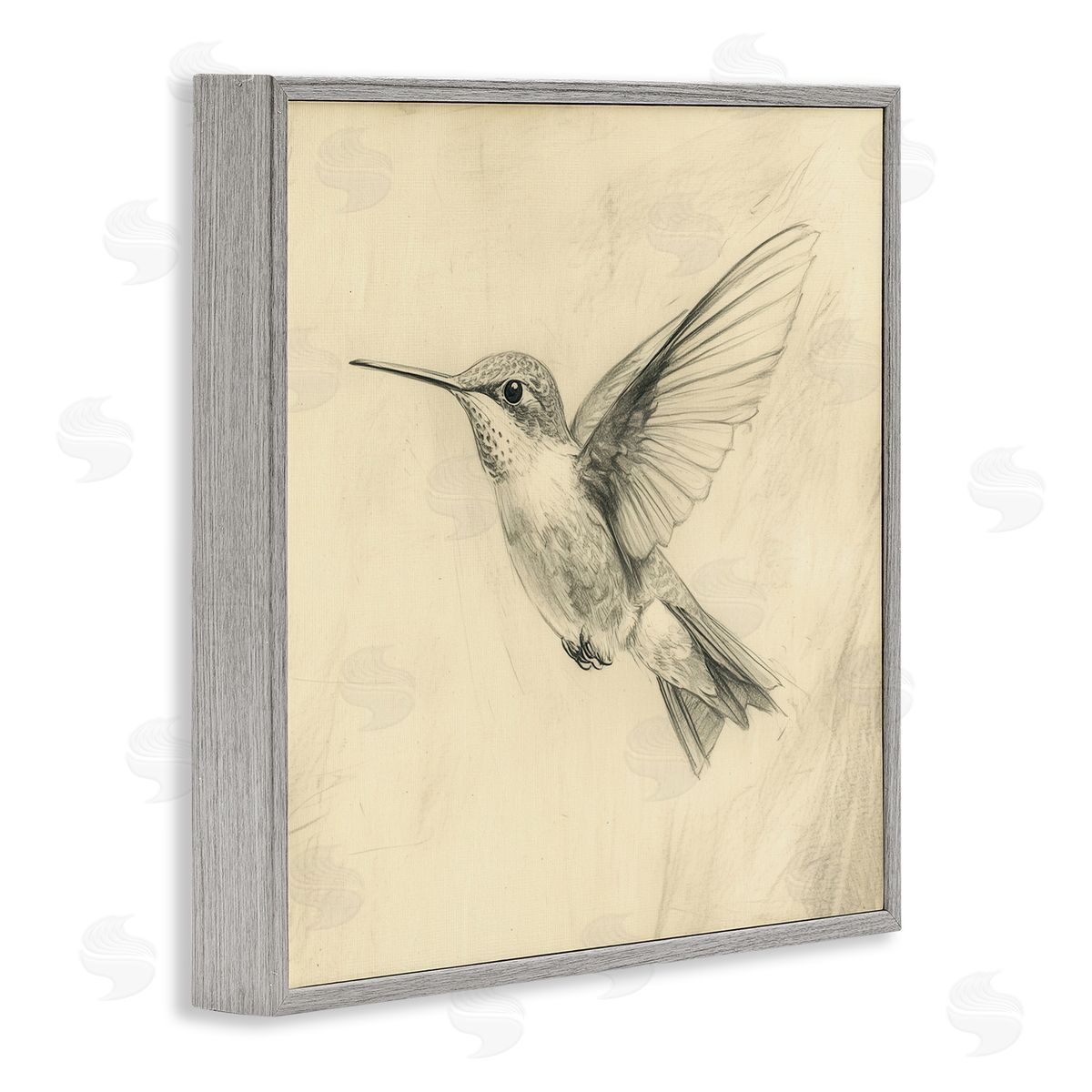 Petal Prints Design Vintage Hummingbird Sketch Gray Framed Giclee Wall Art Print