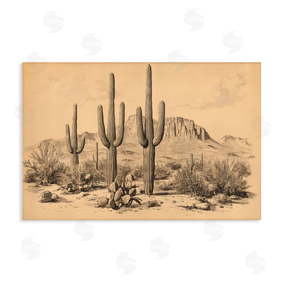Petal Prints Design Cactus Desert Vintage Landscape Canvas Wall Art Print