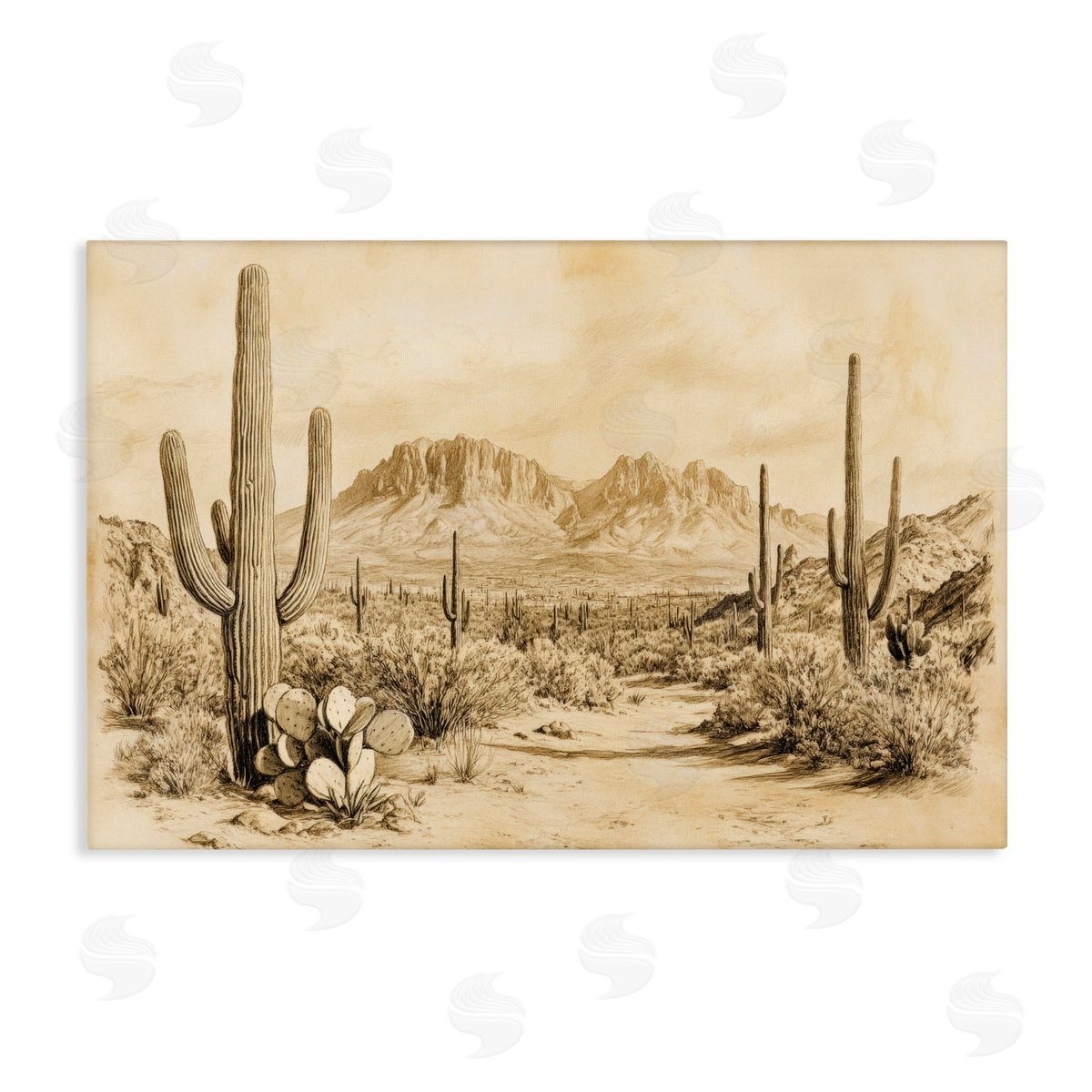 Petal Prints Design Cactus Road Vintage Desert Canvas Wall Art Print
