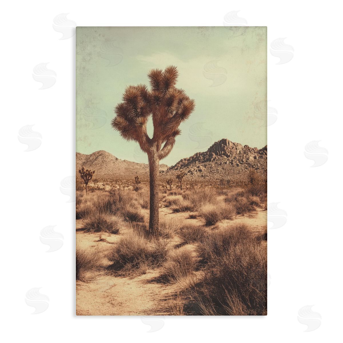 Petal Prints Design Lone Tree in Desert Canvas Wall Art Print
