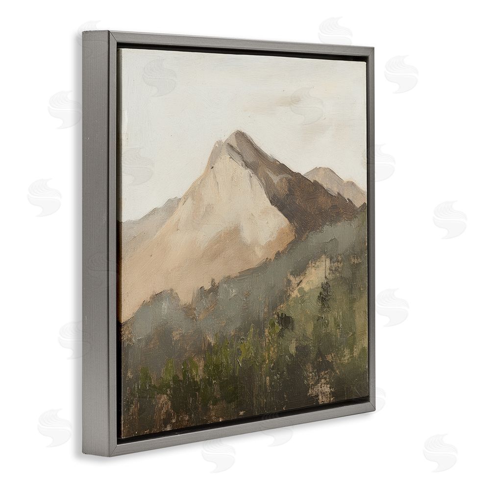 Petal Prints Design Sierra Mountain Landscape Gray Floating Frame Canvas Wall Art Print
