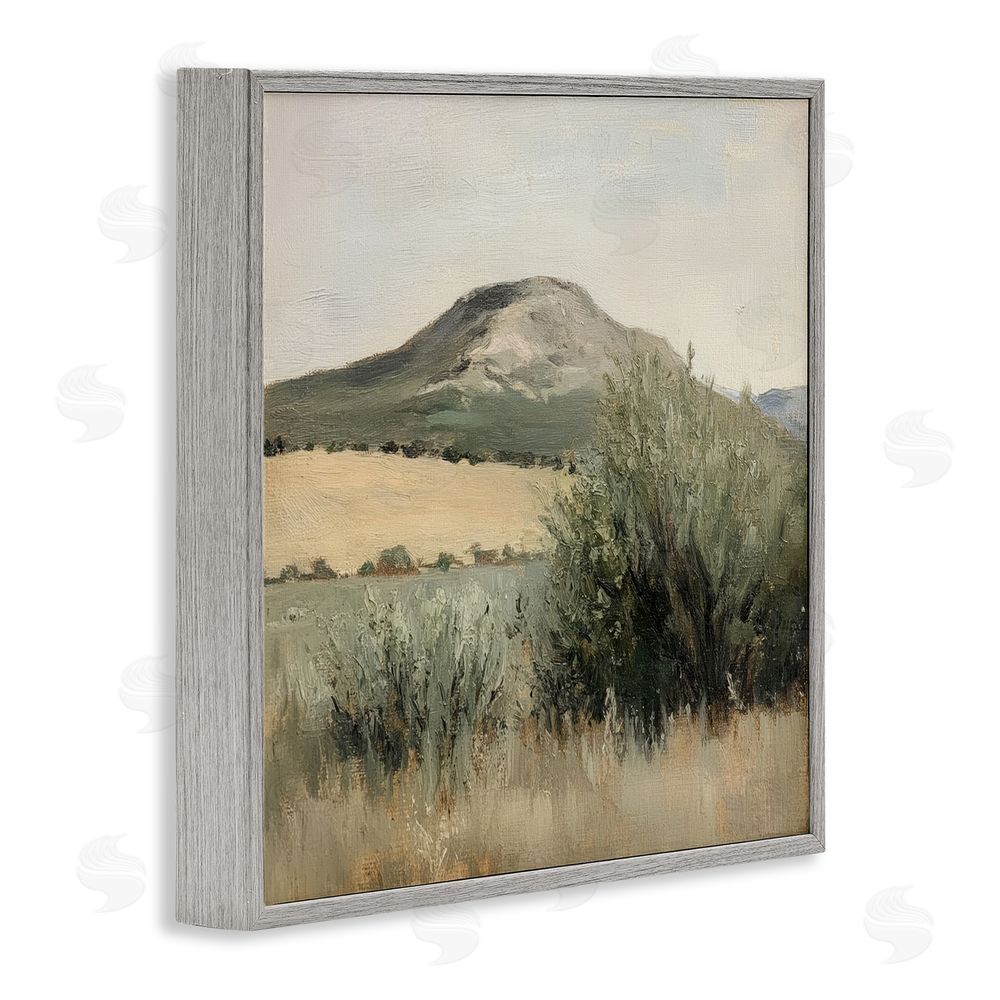 Petal Prints Design Spring Mountain Meadow Landscape Gray Framed Giclee Wall Art Print