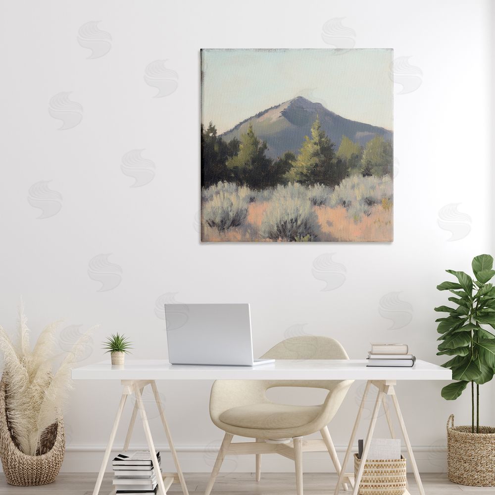 Petal Prints Design Tucson Mountain Landscape Canvas Art on Wall