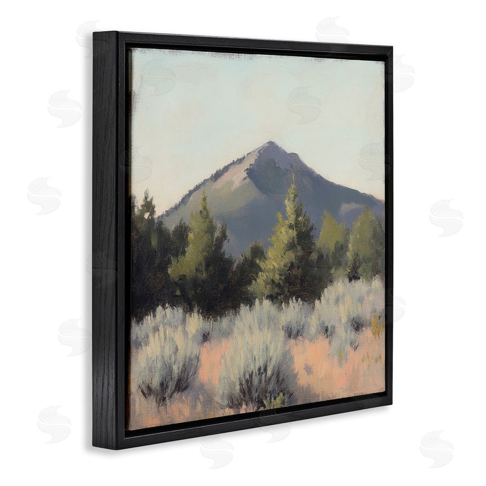 Petal Prints Design Tucson Mountain Landscape Black Floating Frame Canvas Wall Art Print