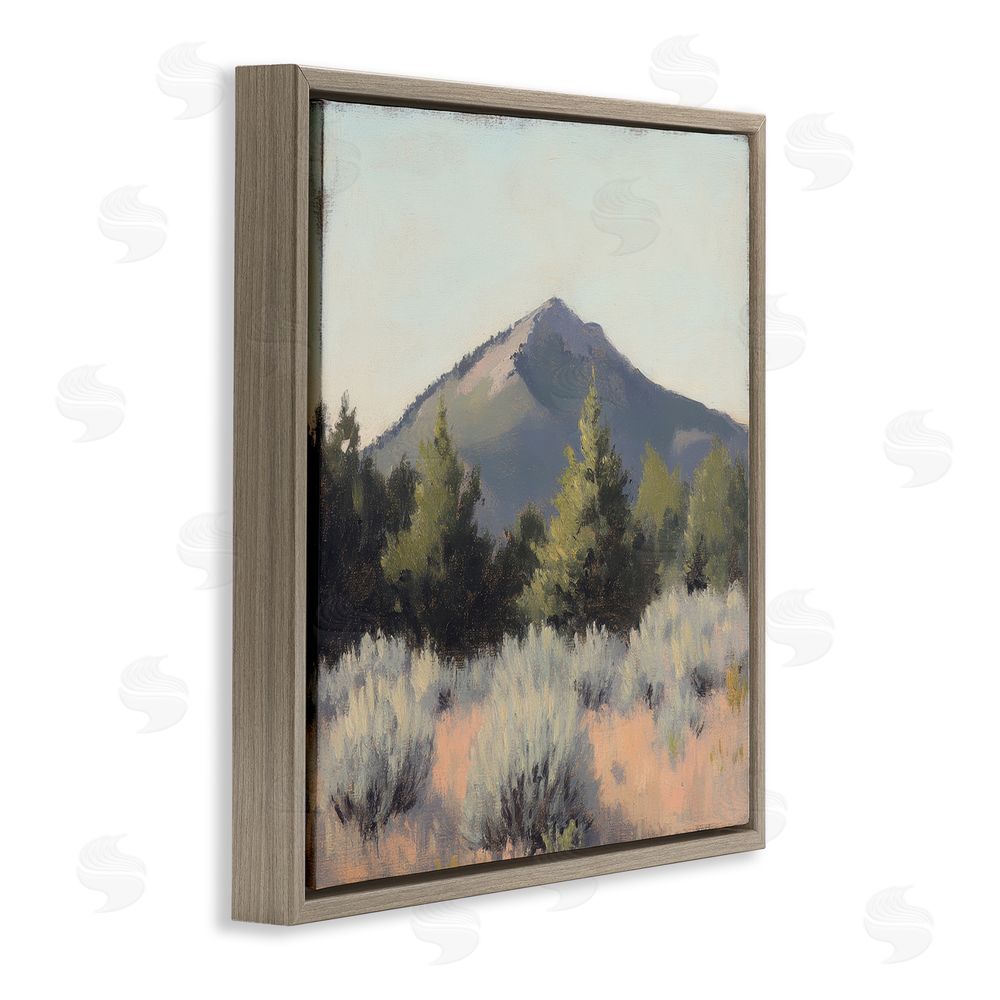Petal Prints Design Tucson Mountain Landscape Brown Floating Frame Canvas Wall Art Print