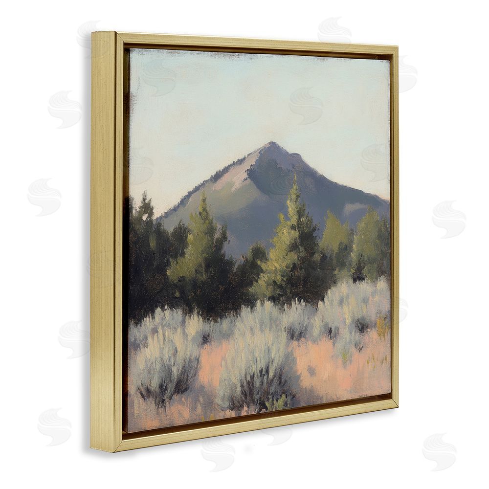 Petal Prints Design Tucson Mountain Landscape Gold Floating Frame Canvas Wall Art Print